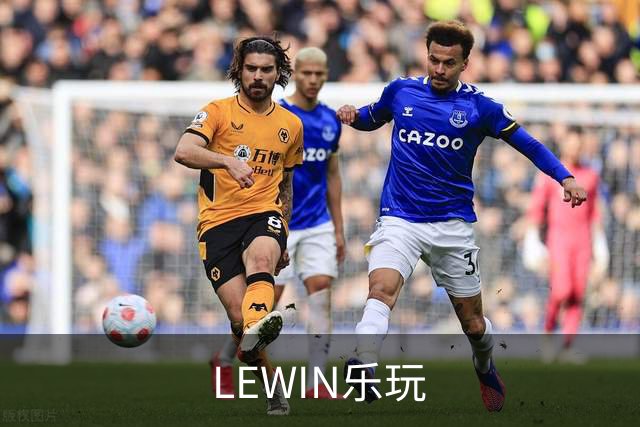 LEWIN乐玩公司展示图片